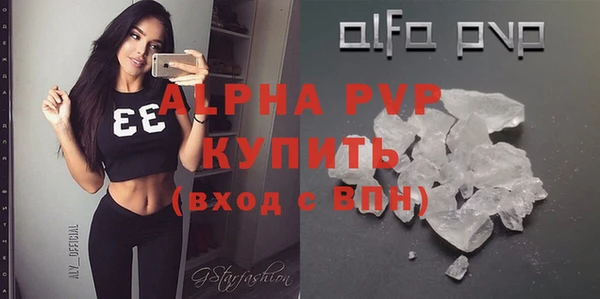 гашик Алексин