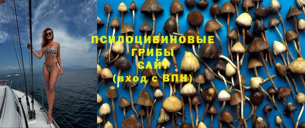 не бодяженный Абинск