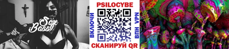 Псилоцибиновые грибы Magic Shrooms  Вологда 