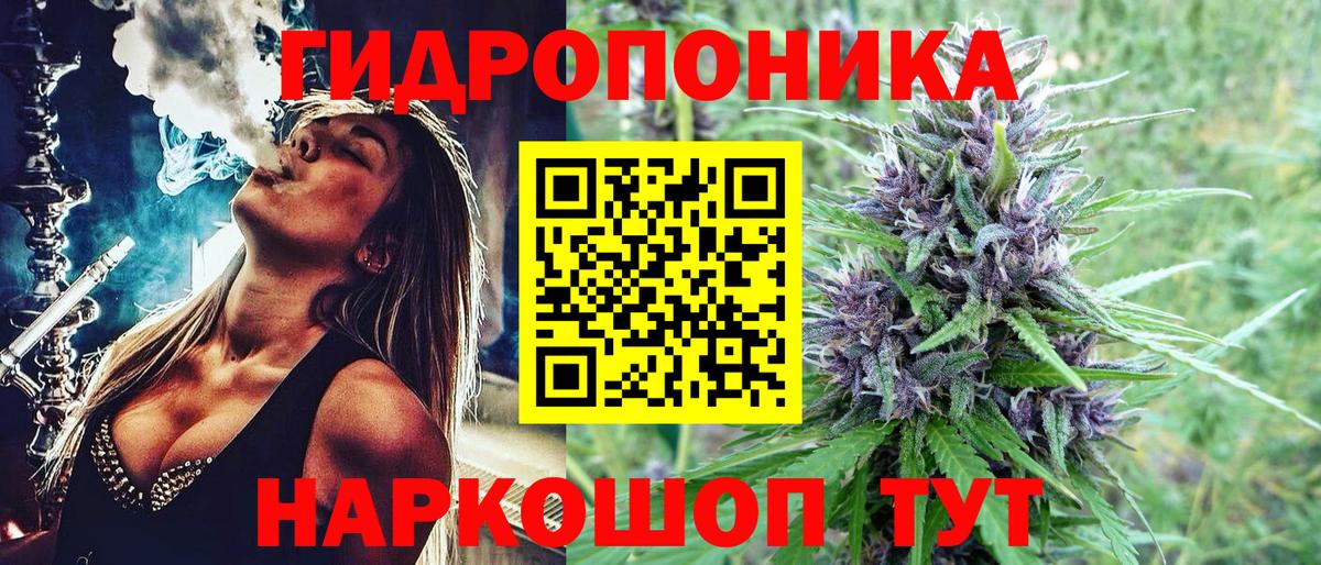 Бошки марихуана MAZAR  Марихуана OG Kush  Марихуана конопля  Вход с VPN  Вологда 